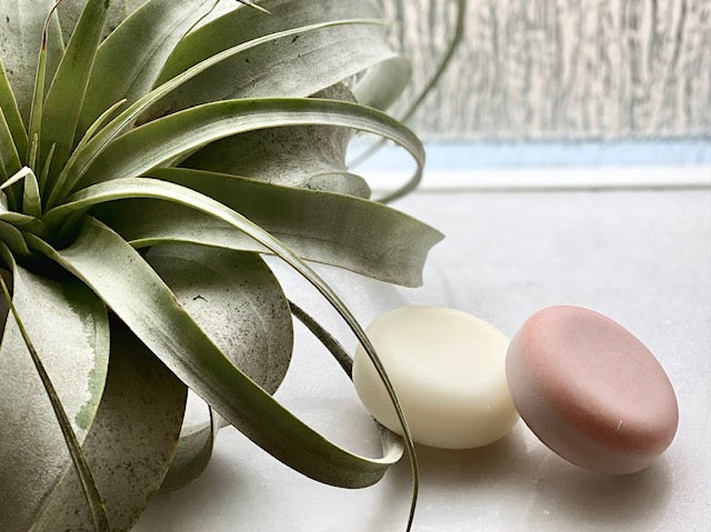 No Trace Travel Tin With Shampoo & Conditioner Bars
