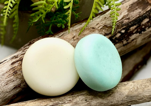 Whispering Woods Travel Tin with Shampoo & Conditioner Bars